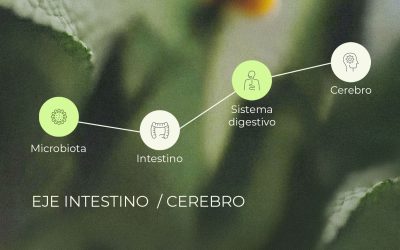 ¿Qué es el eje intestino-cerebro y cómo influye en el estado de ánimo?