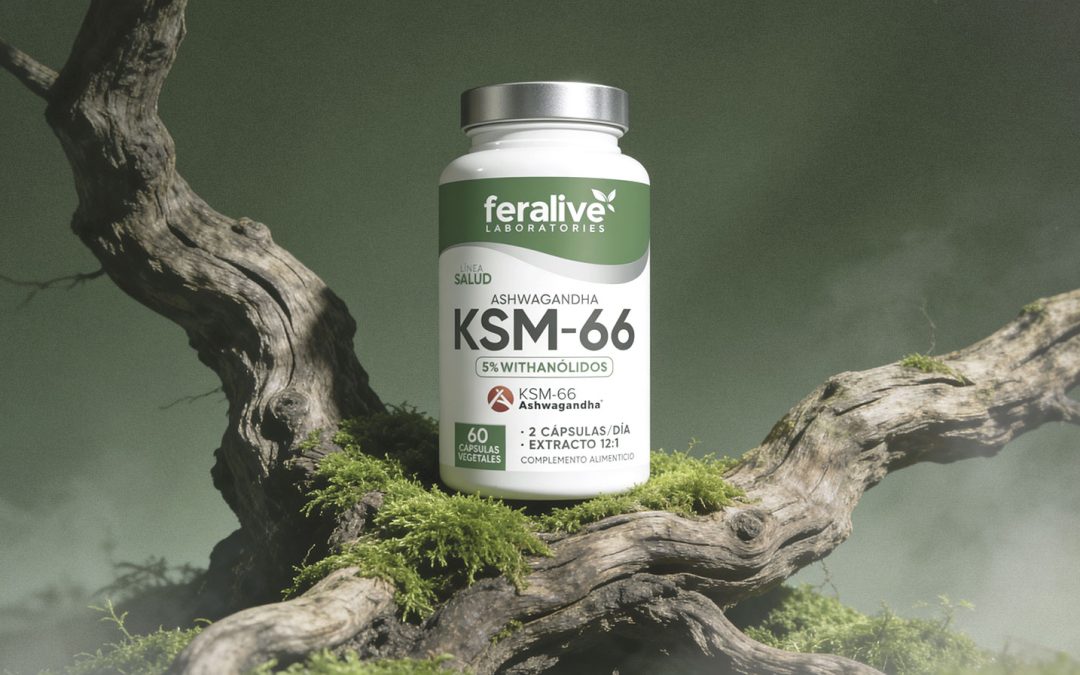 Ashwagandha KSM-66® vs ashwagandha normal: diferencia real.