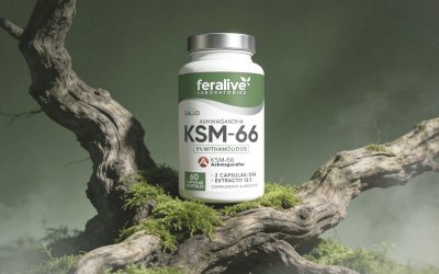 Ashwagandha KSM-66® vs ashwagandha normal: diferencia real.