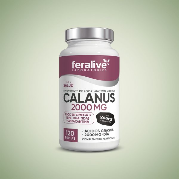 Calanus