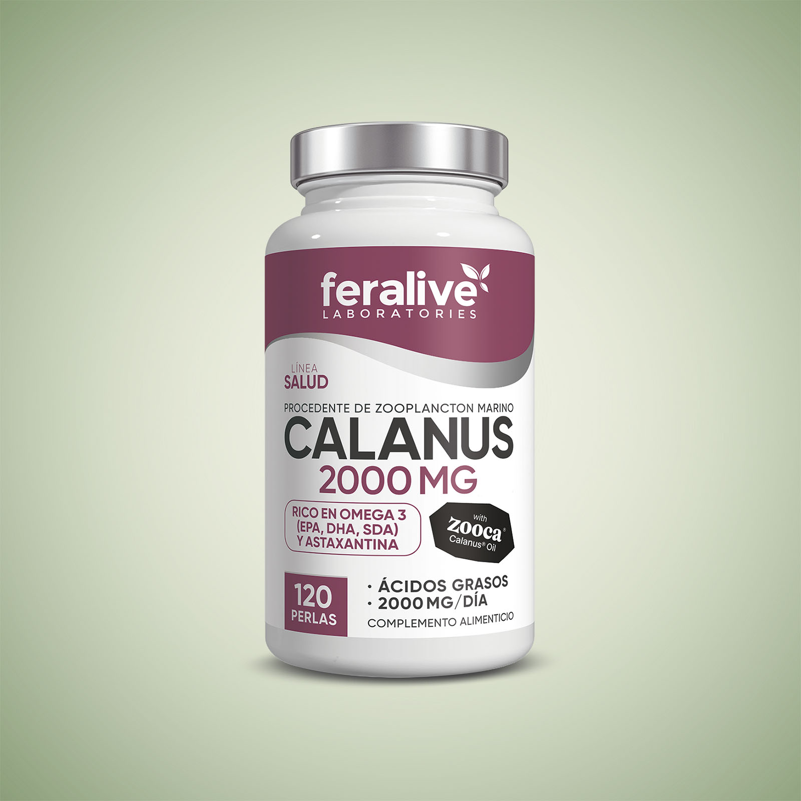 Calanus